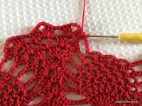 Toalha vermelha passo a passo (200)