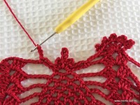 Toalha vermelha passo a passo (200)