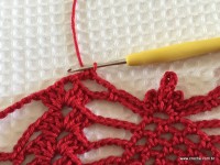 Toalha vermelha passo a passo (201)