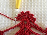 Toalha vermelha passo a passo (203)