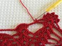 Toalha vermelha passo a passo (204)