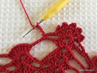 Toalha vermelha passo a passo (205)