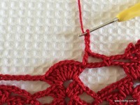 Toalha vermelha passo a passo (209)