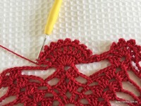 Toalha vermelha passo a passo (212)