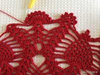 Toalha vermelha passo a passo (213)