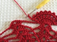 Toalha vermelha passo a passo (214)