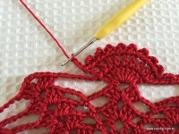 Toalha vermelha passo a passo (215)