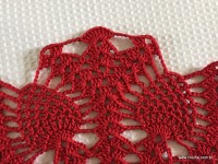 Toalha vermelha passo a passo (30)