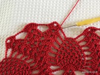 Toalha vermelha passo a passo (32)