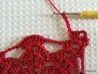 Toalha vermelha passo a passo (34)