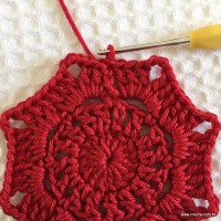 Toalha vermelha passo a passo (39)