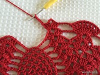 Toalha vermelha passo a passo (41)