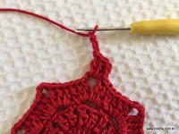 Toalha vermelha passo a passo (46)