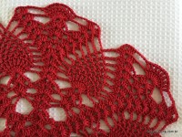 Toalha vermelha passo a passo (48)