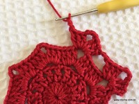 Toalha vermelha passo a passo (52)