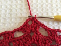 Toalha vermelha passo a passo (56)