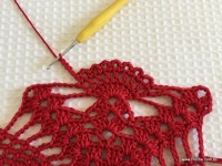 Toalha vermelha passo a passo (56)