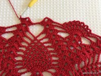 Toalha vermelha passo a passo (61)