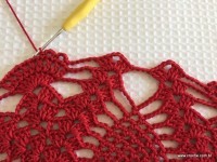 Toalha vermelha passo a passo (62)