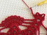 Toalha vermelha passo a passo (67)