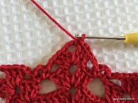 Toalha vermelha passo a passo (69)