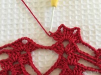 Toalha vermelha passo a passo (72)