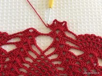 Toalha vermelha passo a passo (73)