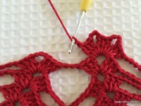 Toalha vermelha passo a passo (74)