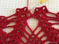 Toalha vermelha passo a passo (79)