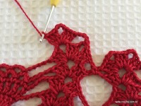 Toalha vermelha passo a passo (83)