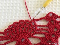 Toalha vermelha passo a passo (87)