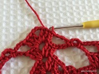 Toalha vermelha passo a passo (88)