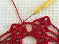 Toalha vermelha passo a passo (94)