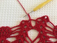 Toalha vermelha passo a passo (95)