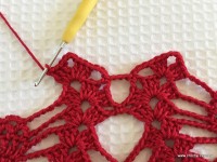 Toalha vermelha passo a passo (96)