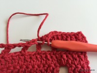 Tapete vermelho 2 (11)