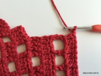 Tapete vermelho 2 (14)