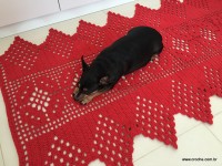 Tapete vermelho 2 (17)