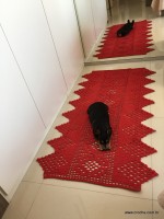 Tapete vermelho 2 (19)