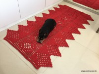 Tapete vermelho 2 (22)