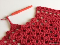 Tapete vermelho 2 (3)