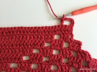 Tapete vermelho 2 (5)