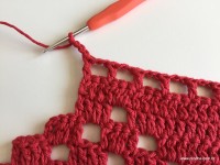 Tapete vermelho 2 (8)