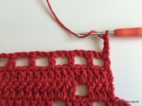 Tapete vermelho 2 (9)