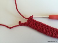 Tapete vermelho em crochê filé (7)