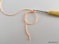 Flor de Algodão passo a passo (1)