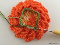 Flor de Algodão passo a passo (112)