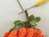 Flor de Algodão passo a passo (135)