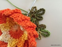 Flor de Algodão passo a passo (139)