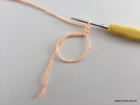 Flor de Algodão passo a passo (2)